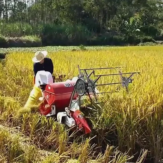 Combine Harvester Mini - เครื่องเก็บเกี่ยวข้าวสาลีและข้าวอัตโนมัติ 13 แรงม้า รุ่นใหม่ Kubota Zoomlion
