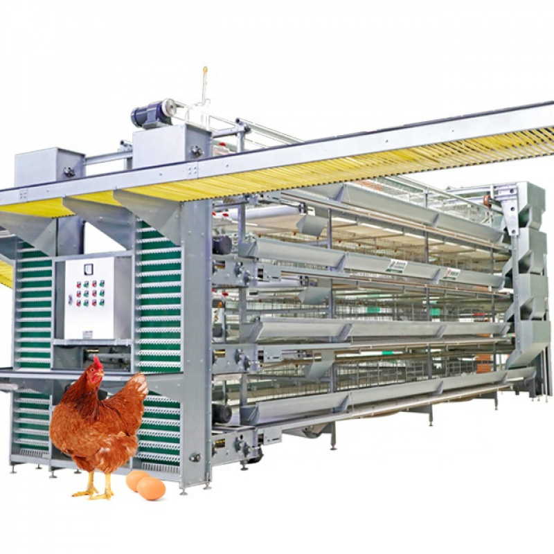 Farming System & Sustainable Agriculture - ระบบอุปกรณ์เลี้ยงไก่แบบอัตโนมัติชนิด H สำหรับฟาร์มเลี้ยงไก่ไข่