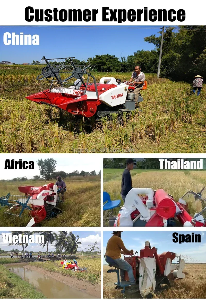เครื่องเก็บเกี่ยวข้าวสาลีและข้ - Combine Harvester Mini บทวิจารณ์และราคา