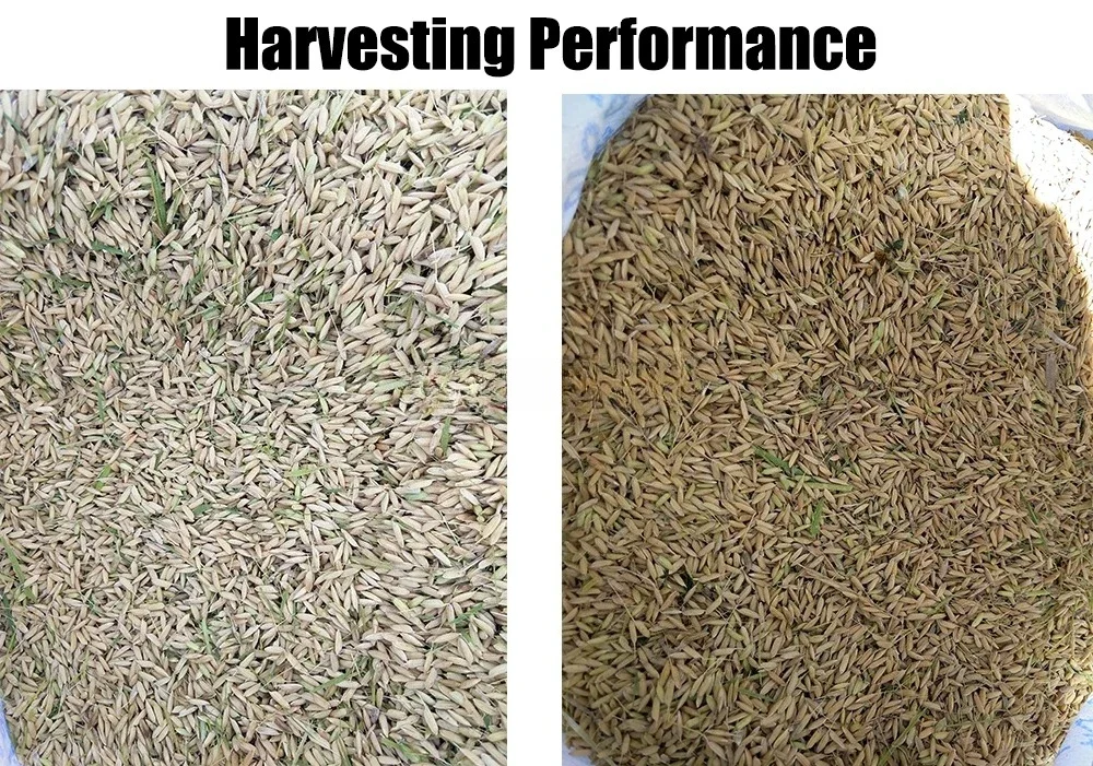 เครื่องเก็บเกี่ยวข้าวสาลีและข้ - Combine Harvester Mini บทวิจารณ์และราคา