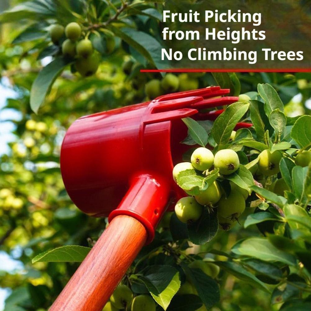 เครื่องมือเก็บผลไม้แบบพกพา สำห - Agriculture Farming Tool บทวิจารณ์และราคา