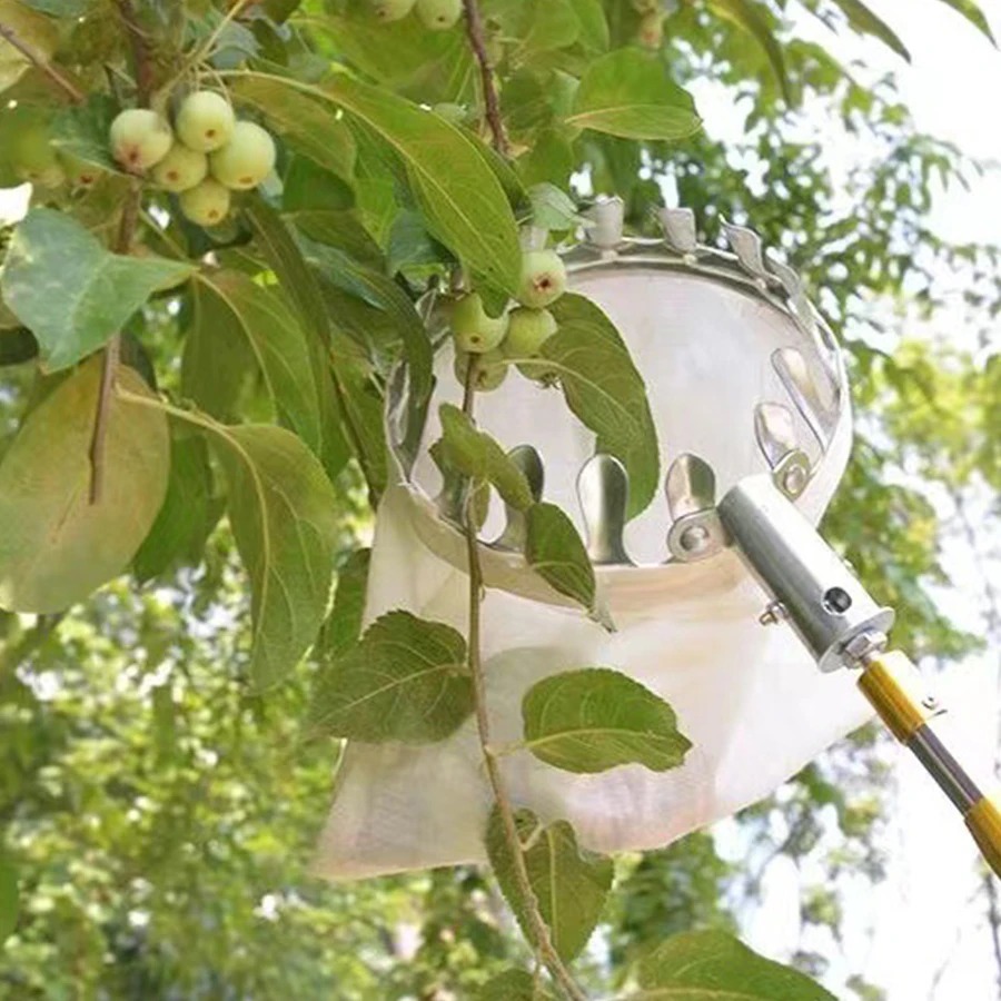 เครื่องมือเก็บผลเบอร์รี่แบบมือ - Agriculture Farming Tool บทวิจารณ์และราคา
