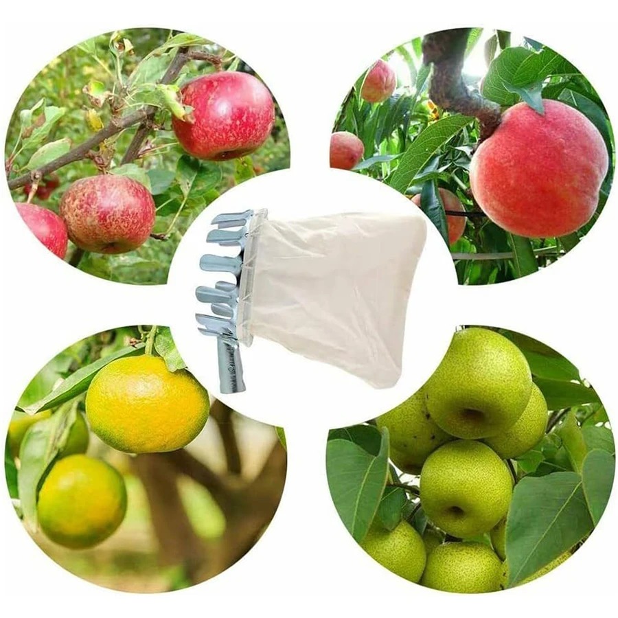 เครื่องมือเก็บผลเบอร์รี่แบบมือ - Agriculture Farming Tool บทวิจารณ์และราคา