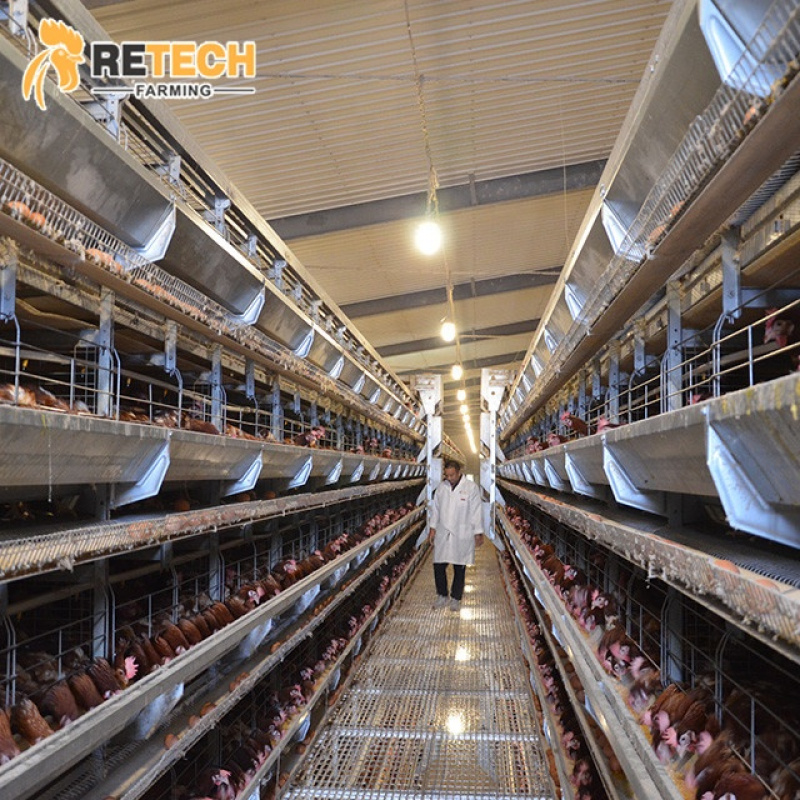 ระบบอุปกรณ์เลี้ยงไก่แบบอัตโนมั - Farming System & Sustainable Agriculture บทวิจารณ์และราคา