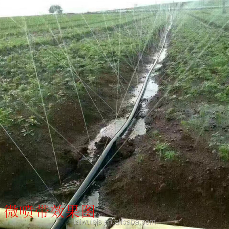 ชุดอุปกรณ์รดน้ำแบบหยดน้ำด้วยเท - Irrigation Drip Tape บทวิจารณ์และราคา
