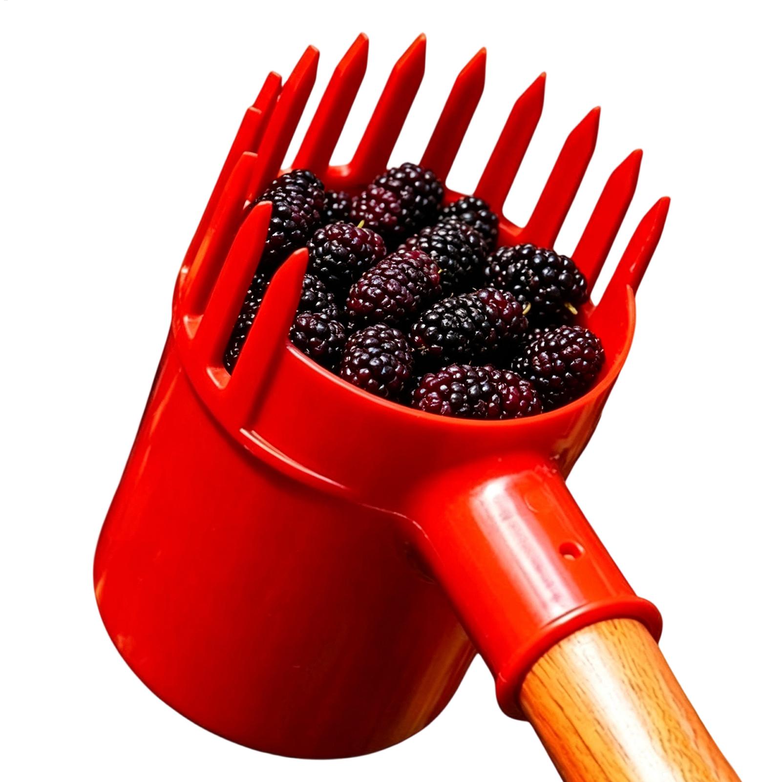ที่ตักผลไม้แบบพกพา สำหรับเก็บบ - Agriculture Farming Tool บทวิจารณ์และราคา
