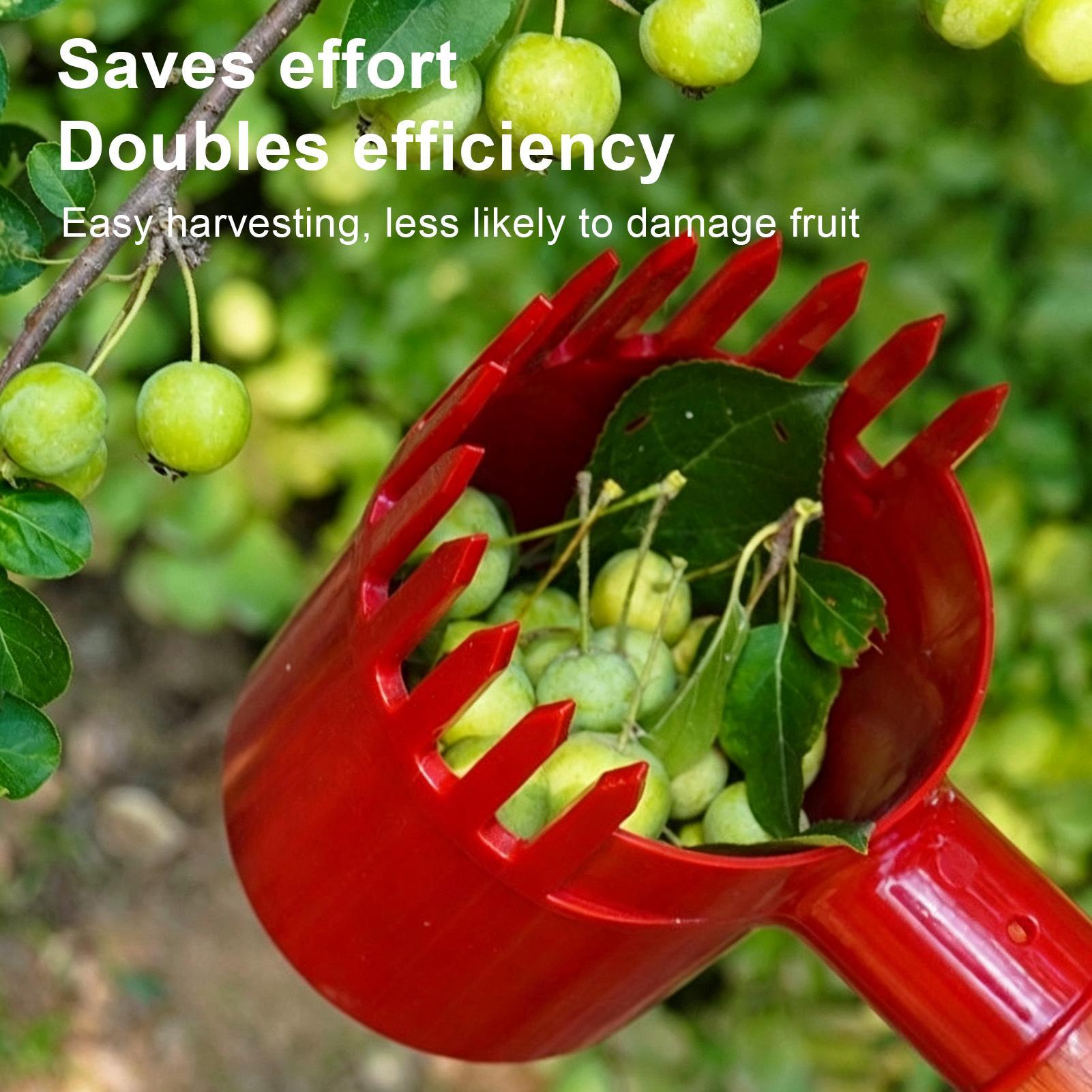 ที่ตักผลไม้แบบพกพา สำหรับเก็บบ - Agriculture Farming Tool บทวิจารณ์และราคา